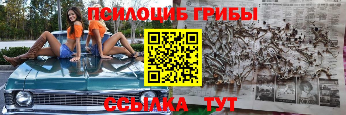 Галлюциногенные грибы Cubensis  где купить наркоту  Камень-на-Оби  Псилоцибиновые грибы Psilocybe  Вход с VPN 